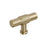 Faraday Zinc Golden Champagne Cabinet Knob 2