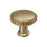 Farewind Zinc Golden Champagne Cabinet Knob 1
