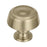 Kane Zinc Golden Champagne Cabinet Knob 1