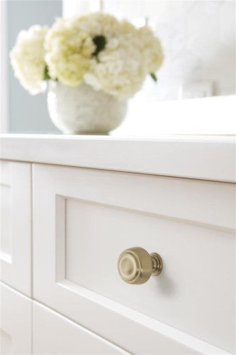 Kane Zinc Golden Champagne Cabinet Knob 8