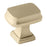 Revitalize Zinc Golden Champagne Cabinet Knob 1