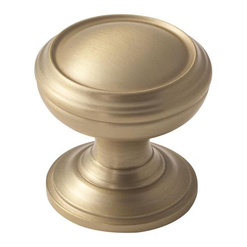 Revitalize Zinc Golden Champagne Cabinet Knob 1