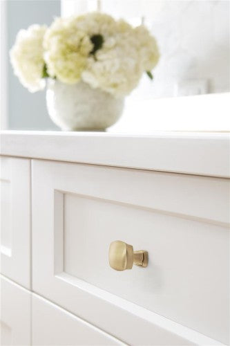 Stature Zinc Golden Champagne Cabinet Knob 6