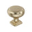 Surpass Zinc Golden Champagne Cabinet Knob 1