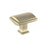 Townsend Zinc Golden Champagne Cabinet Knob 1
