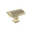 Townsend Zinc Golden Champagne Cabinet Knob 2