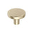 Versa Zinc Golden Champagne Cabinet Knob 1