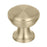 Westerly Zinc Golden Champagne Cabinet Knob 1