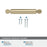 Balon Zinc Golden Champagne Cabinet Pull 20