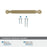 Collet Zinc Golden Champagne Cabinet Pull 19