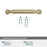 Cowrie Zinc Golden Champagne Cabinet Pull 18