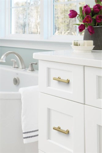 Everett Zinc Golden Champagne Cabinet Pull 22