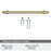 Everett Zinc Golden Champagne Cabinet Pull 19