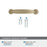 Kane Zinc Golden Champagne Cabinet Pull 20