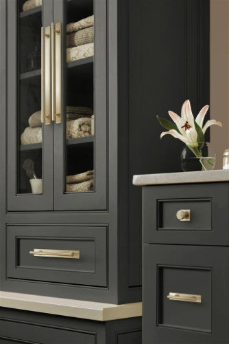 Radius Stainless Steel Golden Champagne Cabinet Pull 31