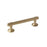 Sea Grass Zinc Golden Champagne Cabinet Pull 1