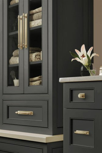 Winsome Zinc Golden Champagne Cabinet Pull 26