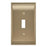 Candler Zinc Golden Champagne Wall Plate 1