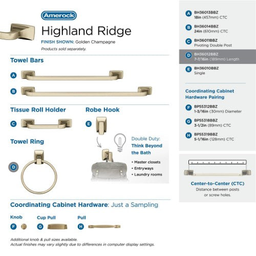 Highland Ridge Zinc & Stainless Steel Golden Champagne Towel Ring 6