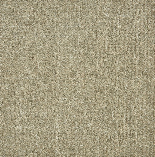 Hibernia Homestead Shadow