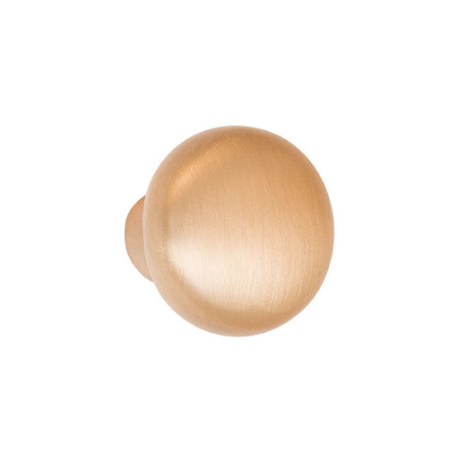 Arcadian Bronze Cabinet Knob Brushed Bronze 1