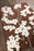 Wool 21612 Area Rug Textured 1