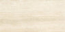 Ivory Cream Honed Porcelain Tile - 12" x 24"