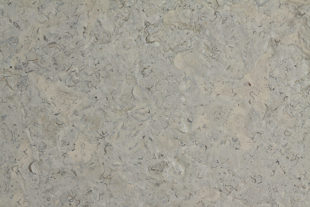 Jerusalem Benjamin Grey Brushed Limestone Tile - 12" x 24" x 3/4"