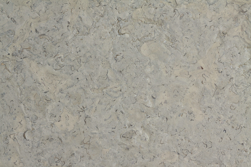 Jerusalem Benjamin Grey Brushed Limestone Tile - 12" x 24" x 3/4"