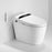 Multi-functional Ceramic White Toilet  1