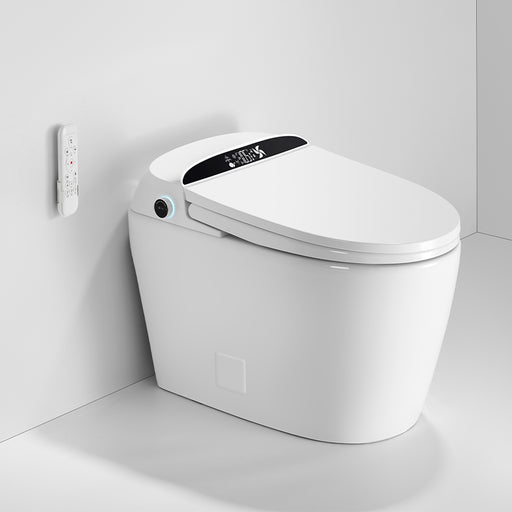 Multi-functional Ceramic White Toilet  1