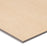 Everlife LVT Kallum Palmilla Dryback Luxury Vinyl Plank Flooring - Low Gloss