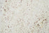 Full Tile Sample - Kashmir White Granite Tile - 12" x 24" x 10 MM Polished