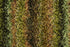 Polyester 16501 Area Rug Textured 3