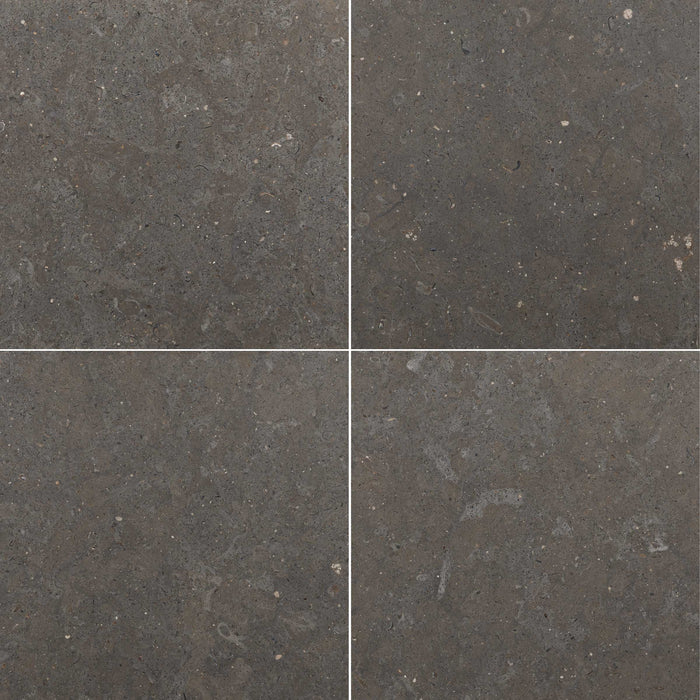 Nova Blue (Azul Lagos) Limestone Tile Honed 2