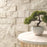 XL Rockmount Stacked Stone Panel Sandstone Laguna Blonde Ledgestone Split Face 11