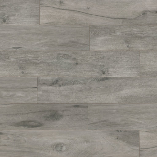 Legati Porcelain Gray Tile Matte 1