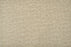 Crescent Leopard Ivory