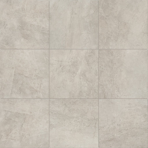 Arenella Ceramic Light Gray AR32 Tile Matte 1