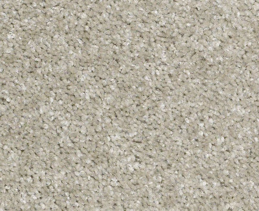 Lake Stevens Nylon Loft 540 Area Rug S11SF Textured 1