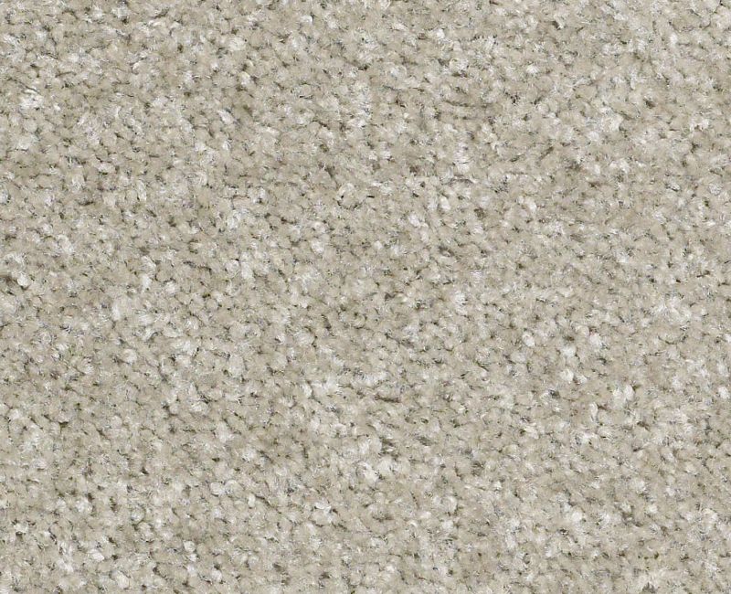 Lake Stevens Nylon Loft 540 Area Rug S11SF Textured 1