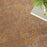 Luxurious Taupe TAUPE Polypropylene Blend LRS02