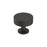 Radius Stainless Steel Matte Black Cabinet Knob 1
