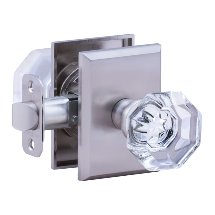 Zinc & Steel Satin Stainless SS Door Handle Satin Stainless 1