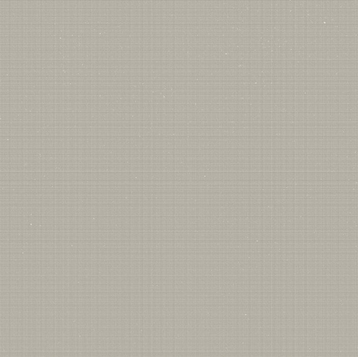 Full Tile Sample - Motif G Porcelain Tile - 24" x 48" x 10.5 MM Natural