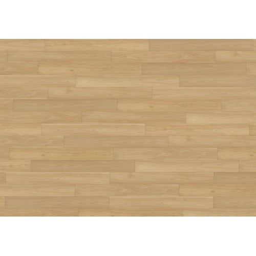 Timber Vinyl Sap Vinyl Plank Low Gloss 1