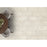 Basilica Vinyl Pillar Vinyl Plank Low Gloss 2