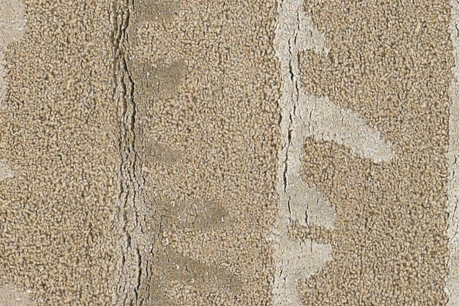 Wool 5007 Area Rug Textured 3