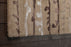 Wool 5007 Area Rug Textured 5