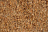 Polyester 18803 Area Rug Textured 3